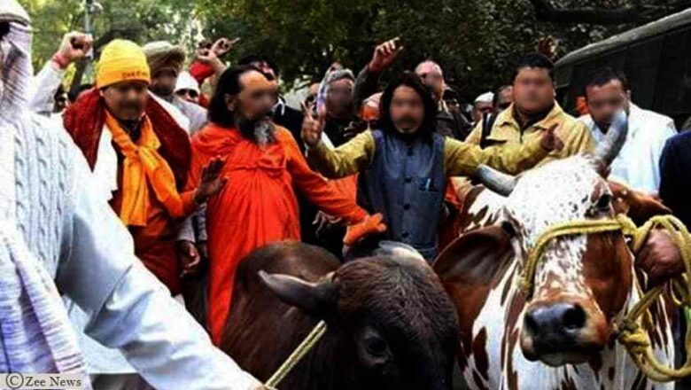 Two Kashmiri drivers assaulted by cow vigilantes in Punjab on allegations of transporting beef