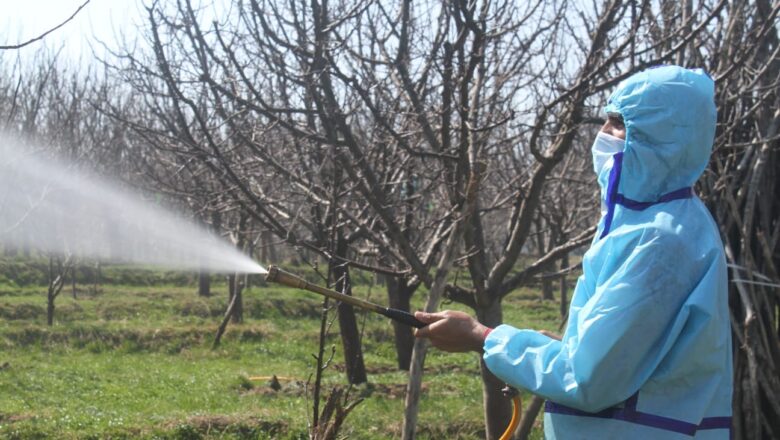 Despite alarm, growth regulators in high demand in Kashmir orchards