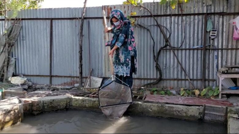 Severe dry spell sparks concerns over fish production in Kashmir