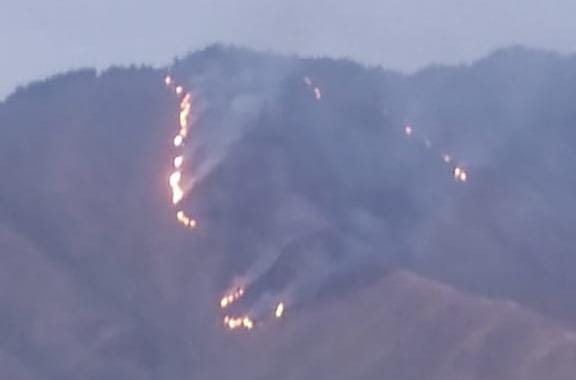 Fire breaks out in Tral forest area