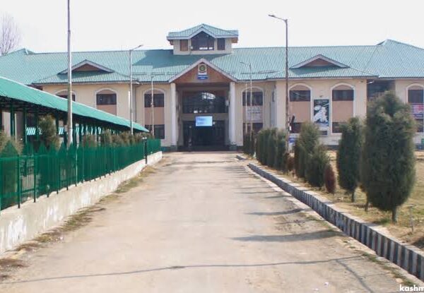 Contractual lecturers at GDC Pulwama raise concern over low remuneration, seek increase