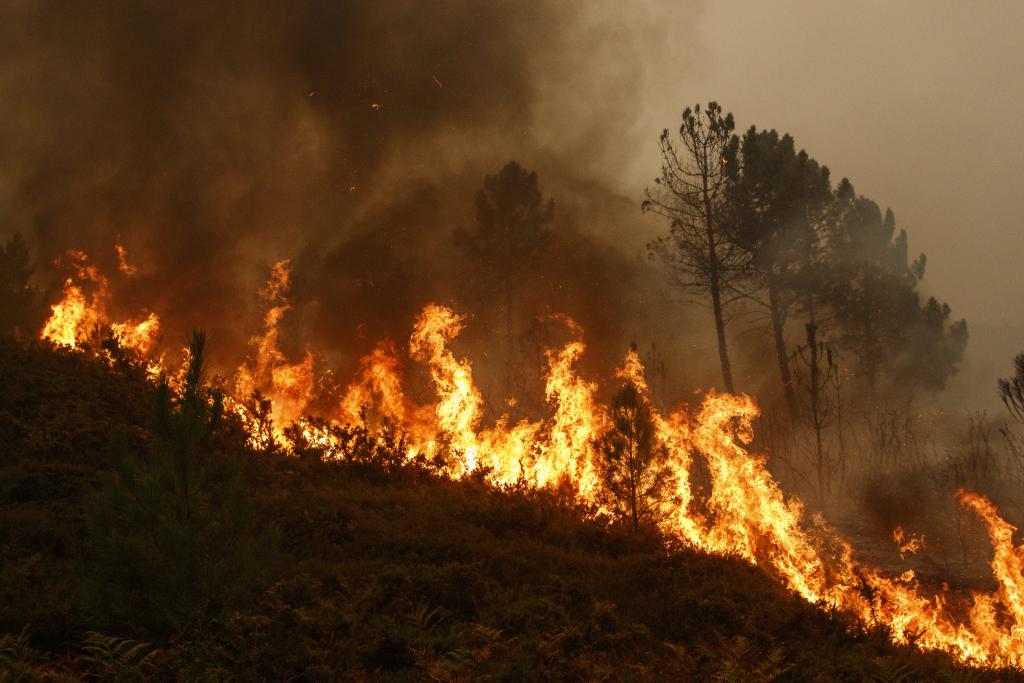 Forest Catches Fire in Anantnag- Officials Fail to Reach the Spot on Day 2