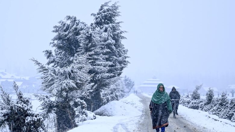 Pregnant Woman Walks 5 Kilometres in Bandipora to Reach Hospital Amid Snow