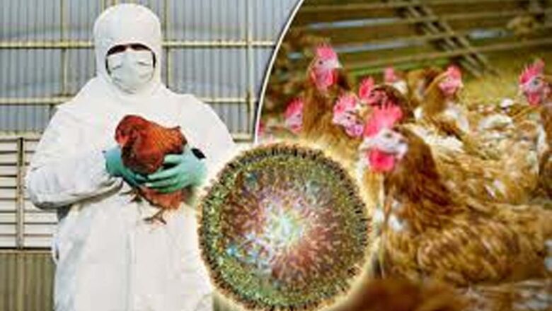 “Possibility of Humans Getting Exposed is High” – Influenza Expert from Kashmir on Bird Flu