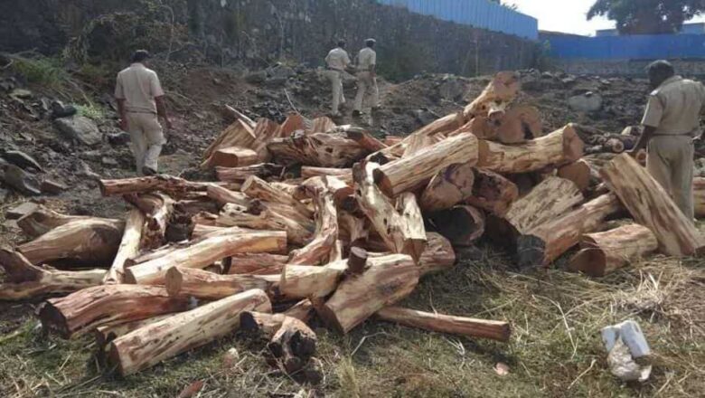 Over 14K feet illicit timber, 38 vehicles seized in Kashmir in 2022: Data