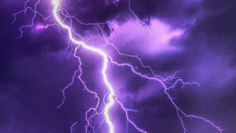 Lightning kills 50 animals in Rajouri