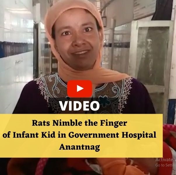 Video Rats Nibble the Finger of Infant in Anantnag's Maternity and