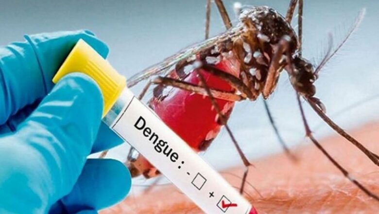 J-K records over 6,000 dengue cases, eight deaths this year so far, says official