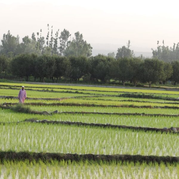 Kashmir’s rivers and farmers pin hopes on a good winter with abundant snowfall