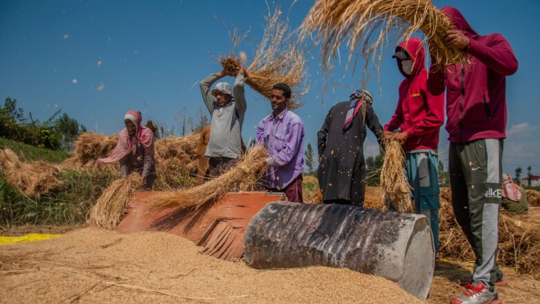 ‘Make arrangement to drain water from fields’: MeT’s agro division issues advisory for farmers