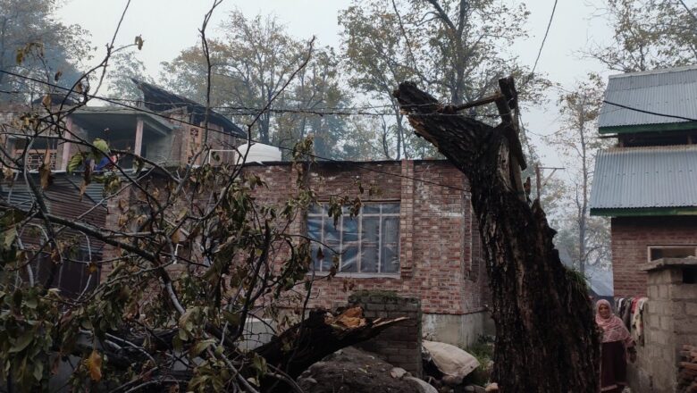 Duggapora, Kulgam residents irked by condition of electric wires and absence of electric poles