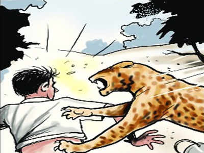 In only Kulgam, 725 incidents of human-animal conflict in last 5 years