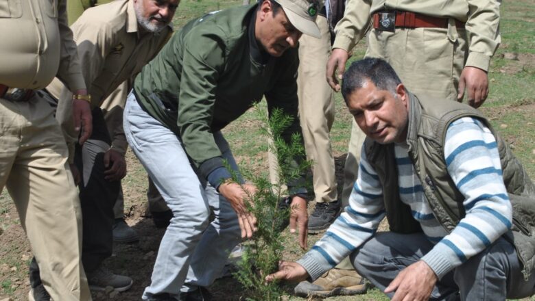 World Forest Day observed in Achabal Forest Range