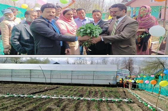 Agriculture Department distributes vegetable seedling in Kulgam