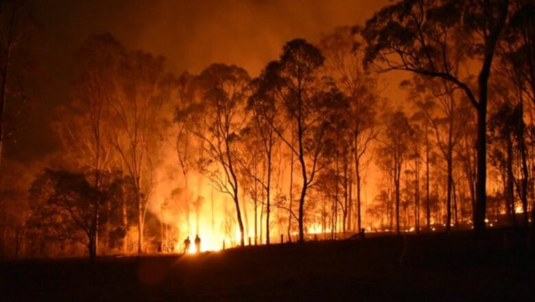 Massive fire breaks out in Bandipora forest, Two villages evacuated