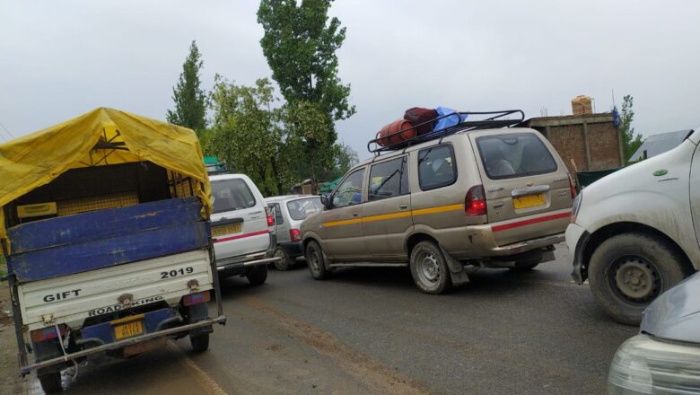 Shepherds protest at Srinagar-Baramulla Highway as 4 sheep die of electric shock