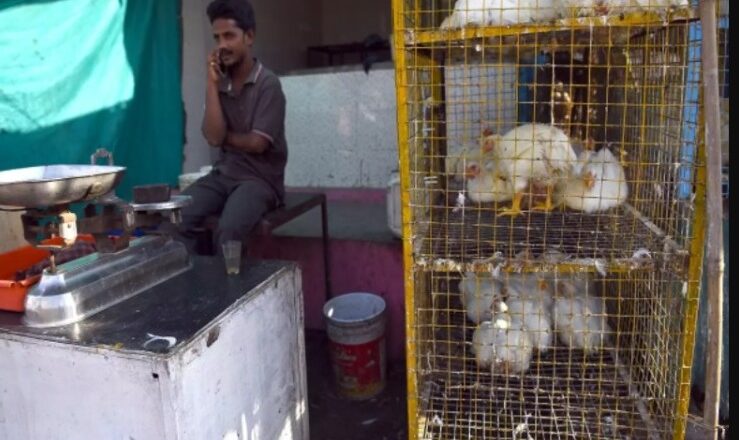 Two persons arrested for selling dead chicken in Anantnag town