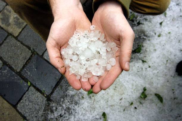 Hailstorm causes damage to orchards in Rafiabad