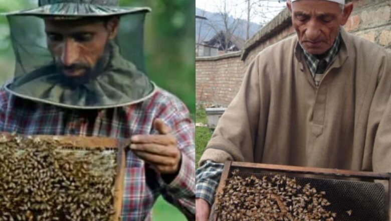 Kashmir produces world’s number 1 honey, say Experts