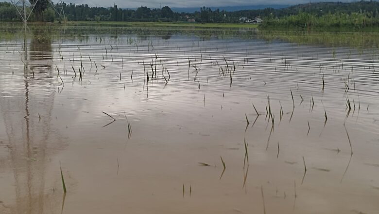 Jhelum touches flood-mark at Sangam, nears alarm level in Srinagar