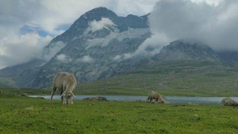 With rise in mercury, trekking expeditions take-off in Kashmir