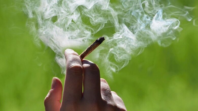 Smoke Ganja, Cannabis to prevent rapes, other crimes: BJP leader