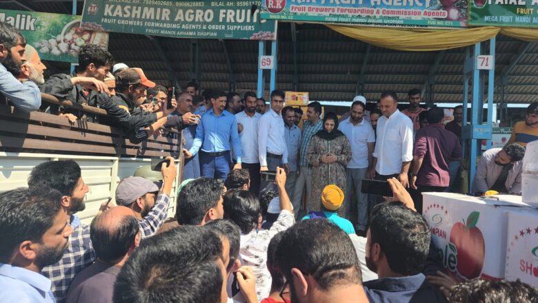 ‘Stop punishing Kashmiris’, Mehbooba Mufti joins protesting apple farmers in Shopian