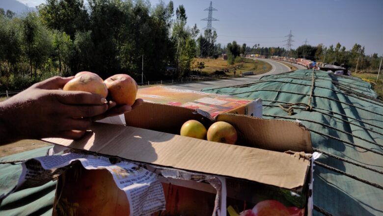 ‘Clear stranded apple-laden trucks on Highway within 24 hours’, CS tells traffic authorities