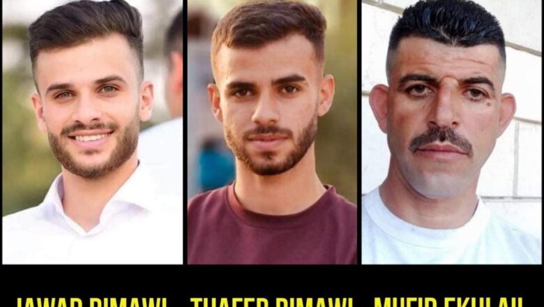 Three Palestinians including two brothers shot dead by Israeli troops