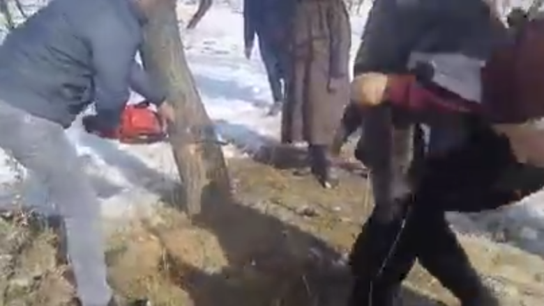 Video: Land eviction drive evokes massive protest, Locals stop officials from cutting trees in Pulwama