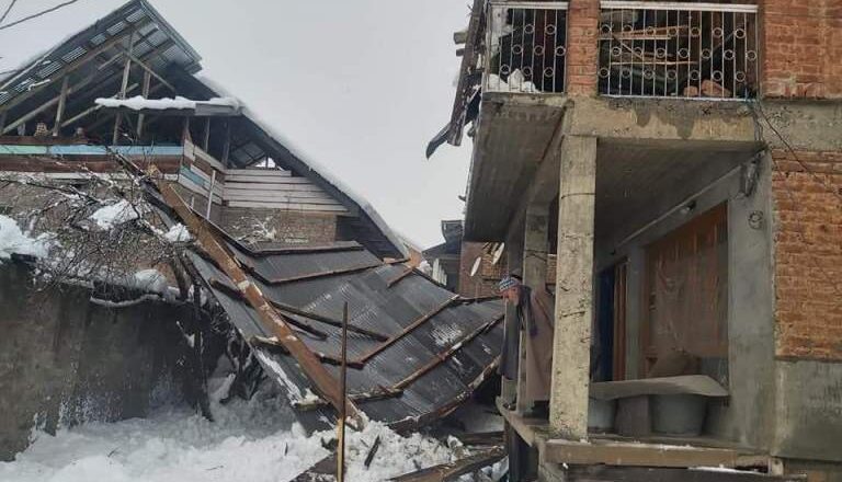 Two residential houses damaged after Chinar tree falls on them in Baramulla