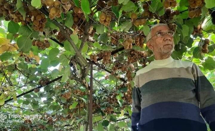 Kashmir’s first Kiwi grower no more