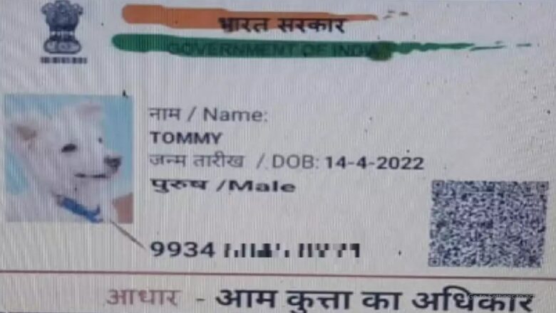 Dog’s application received by officials for census in Bihar