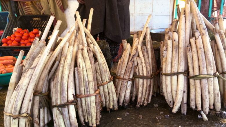 Administration gives big push to promotion of ‘NADRU’ of Dal Lake