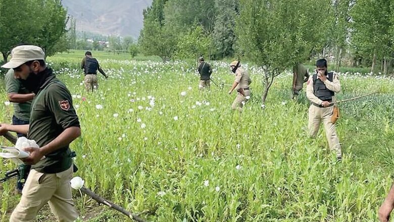 Police launches poppy destruction drive in Kulgam