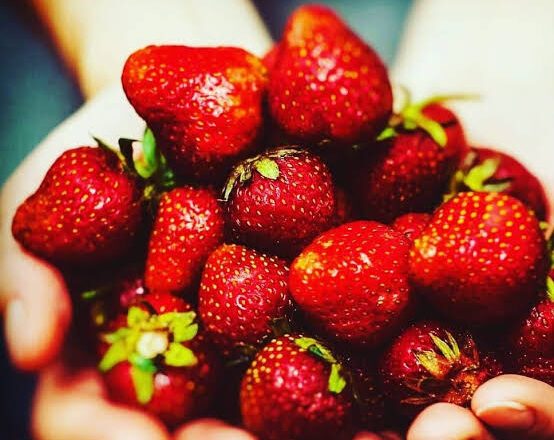 Strawberry farmers suffers 30 per cent loss in Kashmir valley