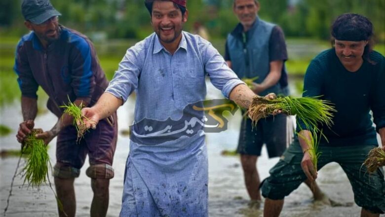 After constant showers, Farmers joyous as farming activities begin in Kashmir