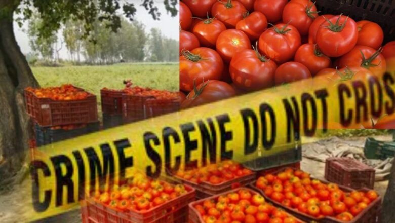 Andhra father who recently sold his tomato crop for 30 lakhs found murdered