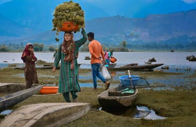 Preserving paradise: Kashmiri Fisherwomen leading the charge to save Wular Lake