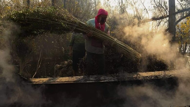 Srinagar records season’s coldest night, Shopian freezes at minus 4.1 celcius