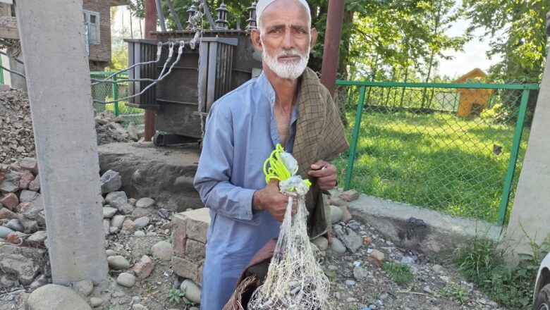 Centuries-old fishing traditions at risk as fish disappear fast from Veshow river