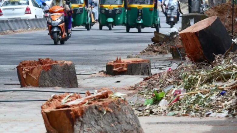 ‘Save our future generations’: Governments in India must act now on court’s heatwave warning