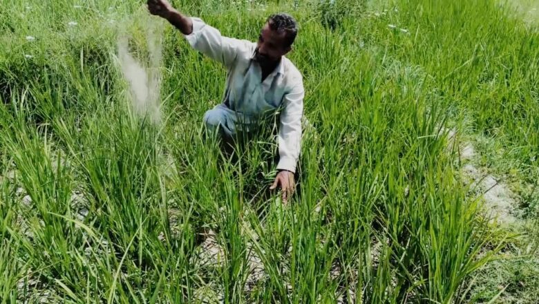 Residents of Arhama in Ganderbal warn of starvation as irrigation problems persist