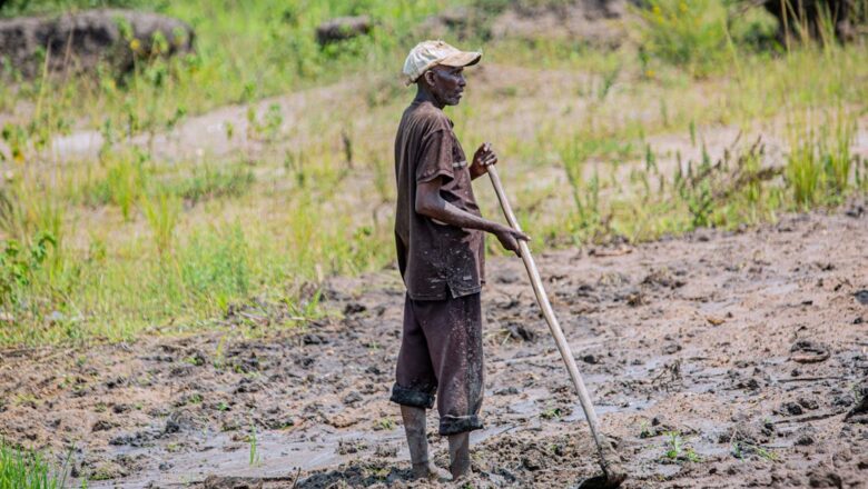 Amravati division in Maharashtra reports 557 farmer suicides in first half of 2024