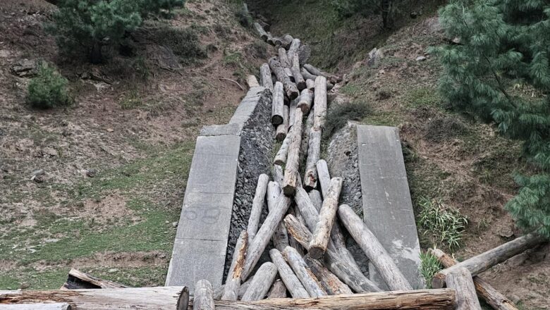 Viral video exposes thousands of feet of rotting logs, Ganderbal residents demand probe