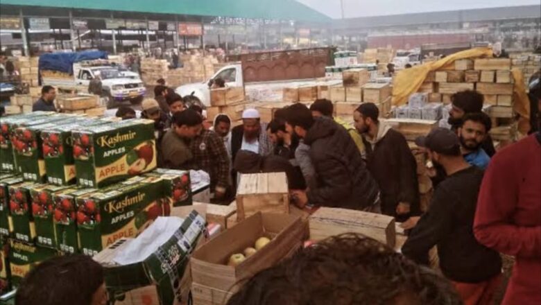 Kashmir’s Apple market thrives: 9 lakh metric tons of fruit dispatched from Sopore only