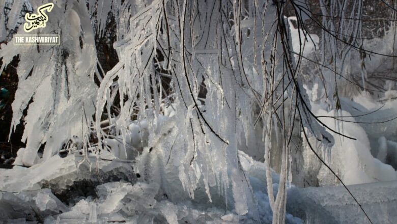 Tourists urged to follow advisory as Kashmir endures sub-zero temperatures