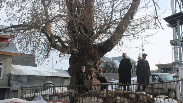 Kashmir’s fragile future: Water shortages, contaminated springs, and the collapse of agriculture