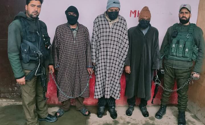 Inter-district sheep theft gang busted in Shopian, stolen livestock recovered