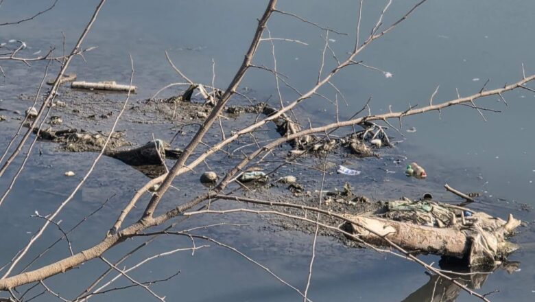 Jhelum, streams across Kashmir face record low water levels due to snowless winter